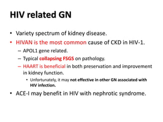 HIV related GN
• Variety spectrum of kidney disease.
• HIVAN is the most common cause of CKD in HIV-1.
– APOL1 gene related.
– Typical collapsing FSGS on pathology.
– HAART is beneficial in both preservation and improvement
in kidney function.
• Unfortunately, it may not effective in other GN associated with
HIV infection.
• ACE-I may benefit in HIV with nephrotic syndrome.
 