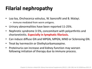Filarial nephropathy
• Loa loa, Onchocerca volvulus, W. bancrofti and B. Malayi.
– Immune mediated from worm antigens.
• Urinary abnormalities have been reported 11-25%.
• Nephrotic syndrome 3-5%, concomitant with polyarthritis and
chorioretinitis. Especially in lymphatic filariasis.
• Can induce diffuse GN and MPGN, MPGN, MND or Sclerosing GN.
• Treat by Ivermectin or Diethylcarbamazepine.
• Proteinuria can increase and kidney function may worsen
following initiation of therapy due to immune process.
Chapter 9; Infection-related GN. Kidney International Supplements (2012) 2, 200–208; doi:10.1038/kisup.2012.22
 