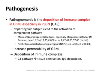 Pathogenesis
• Pathognomonic is the deposition of immune complex
in GBM, especially in PSGN (GAS).
– Nephritogenic antigens lead to the activation of
complement pathway.
• Many of Nephritogenic GAS strain, especially Streptococcal factor (M
Protein); type 1,2,3,4,12,25,49 (Skin) or 2,47,49,55,57,60 (throat).
• Nephritis associated plasmin receptor (NAPlr), co-localized with C3.
– Increase permeability of GBM.
– Deposition of immune complexs.
• C3 pathway  tissue destruction, IgG deposition.
Nordstrand, A., et.al, Pathogenic Mechanism of APSGN. Scandinavian J Infect Dis, 1999. 31(6): p. 523-537.
 