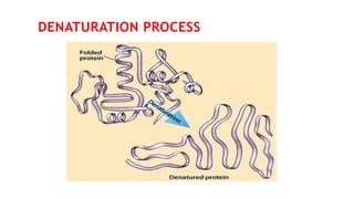 Denaturation Lab Comprehensive Analysis of Proteins and Amino Acids: Structure, Tests ...