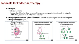 Adjuvant Endocrine Therapy For Postmenopausal Breast Cancer | PDF