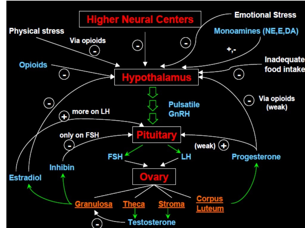 Postmenopausal bleeding