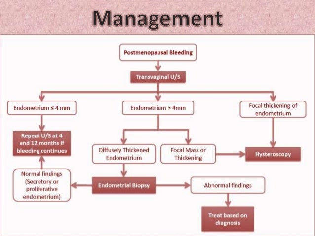 postmenopausal bleeding postmenopausal bleeding