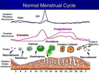 33reasonsreasons
1-It is a universal endometrial event
Menstrual changes occurs simultaneously
in all segments of endometr...