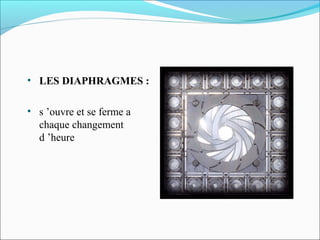 • LES DIAPHRAGMES :
• s ’ouvre et se ferme a
chaque changement
d ’heure
 