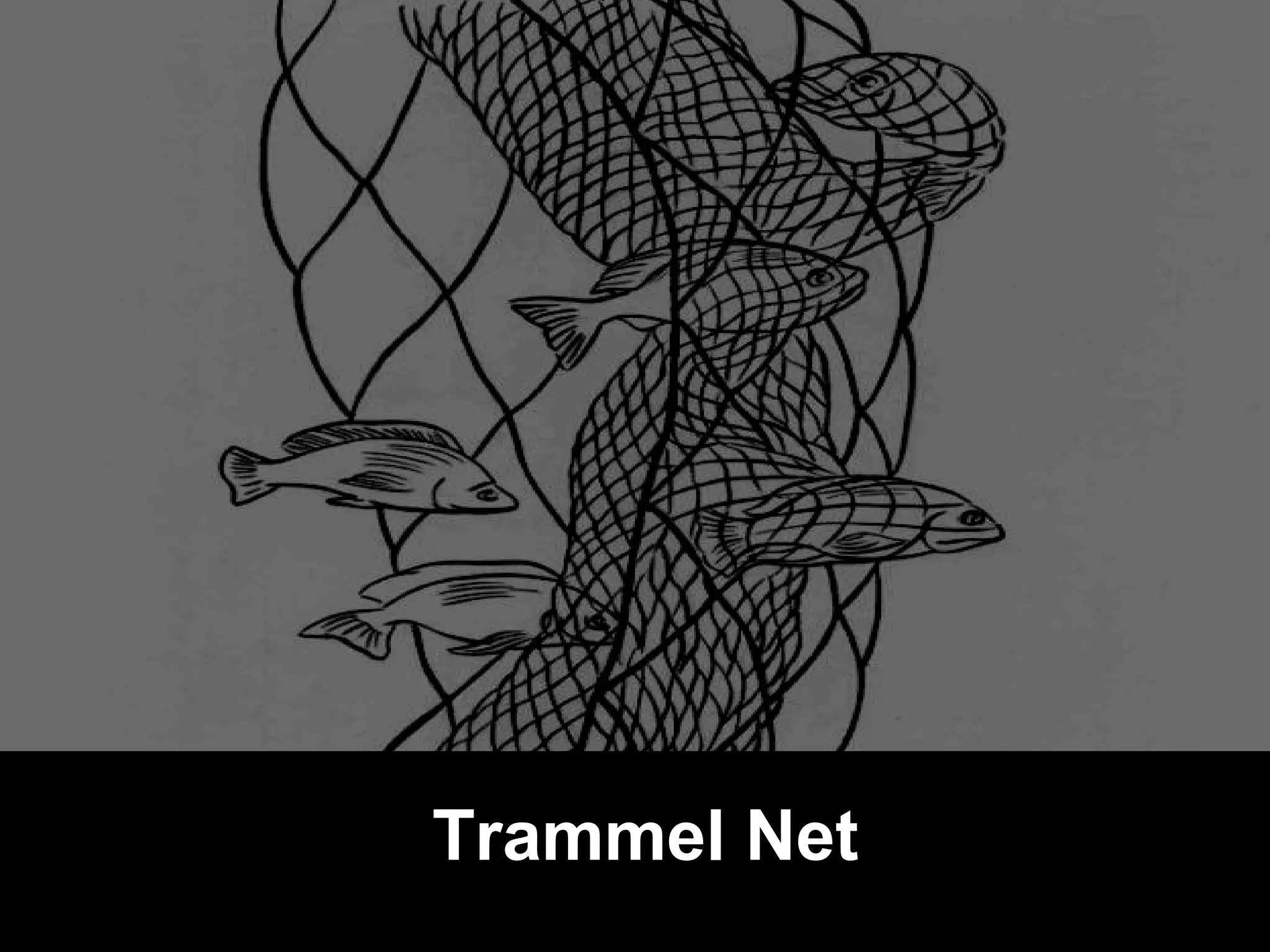Trammel Net
 
