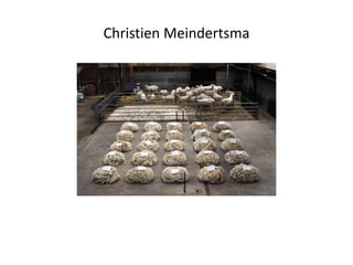 Christien Meindertsma
 
