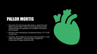 PALLOR MORTIS
• Occurring 15 to 20 minutes after death, in which the body
begins to pale. Pallor mortis occurs because blood stops
moving through the capillaries, the smallest of the body’s
blood vessels.
• the body cools, decreasing in temperature about 1.5 °F (0.84
°C) per hour
• Autolysis, which begins the process of decomposition, is also
called “self-digestion”: enzymes begin to digest the
membranes of oxygen-deprived cells.
 