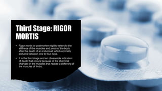 Third Stage: RIGOR
MORTIS
• Rigor mortis or postmortem rigidity refers to the
stiffness of the muscles and joints of the body
after the death of an individual, which normally
endures between one to four days.
• It is the third stage and an observable indication
of death that occurs because of the chemical
changes in the muscles that realize a stiffening of
the muscles of limbs.
 