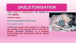 SKELETONISATION
21
 