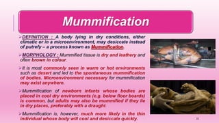 Mummification
22
 