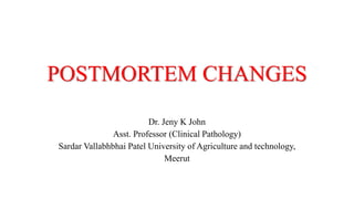 POSTMORTEM CHANGES
Dr. Jeny K John
Asst. Professor (Clinical Pathology)
Sardar Vallabhbhai Patel University of Agriculture and technology,
Meerut
 