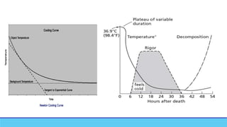 Post Mortem Changes in Forensic Medicine.new.pptx