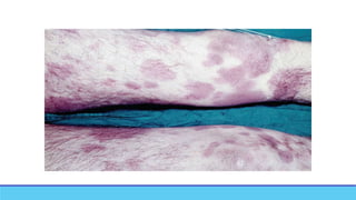 Post Mortem Changes in Forensic Medicine.new.pptx