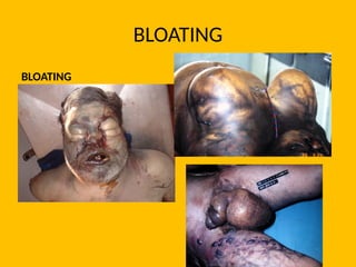 BLOATING
BLOATING BLOATING
 