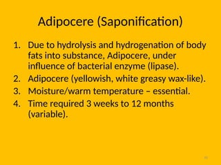 42
Adipocere (Saponification)
1. Due to hydrolysis and hydrogenation of body
fats into substance, Adipocere, under
influence of bacterial enzyme (lipase).
2. Adipocere (yellowish, white greasy wax-like).
3. Moisture/warm temperature – essential.
4. Time required 3 weeks to 12 months
(variable).
 
