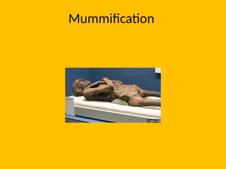 Mummification
 