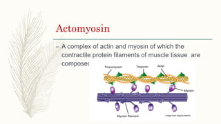 Post mortem changes in enzyme and protein | PPTX