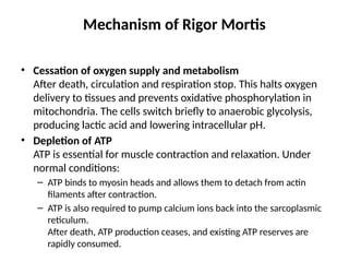 POST MORTEM CHANGES Mbchb year 4 Final.pptx
