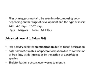 POST MORTEM CHANGES Mbchb year 4 Final.pptx