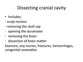 Dissecting cranial cavity
• Includes;
- sculp incision
- removing the skull cap
- opening the duramater
- removing the brain
- dissection of brain matter
Examine; any inuries, fractures, hemorrhages,
congenital anomalies
 