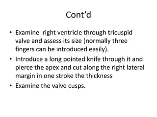 Cont’d
• Examine right ventricle through tricuspid
valve and assess its size (normally three
fingers can be introduced easily).
• Introduce a long pointed knife through it and
pierce the apex and cut along the right lateral
margin in one stroke the thickness
• Examine the valve cusps.
 