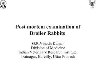 Post mortem examination of
Broiler Rabbits
O.R.Vinodh Kumar
Division of Medicine
Indian Veterinary Research Institute,
Izatnagar, Bareilly, Uttar Pradesh
 