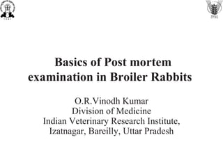 Basics of Post mortem
examination in Broiler Rabbits
O.R.Vinodh Kumar
Division of Medicine
Indian Veterinary Research Institute,
Izatnagar, Bareilly, Uttar Pradesh
 