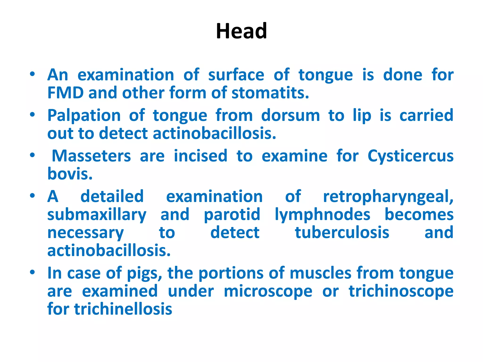 Head
• An examination of surface of tongue is done for
FMD and other form of stomatits.
• Palpation of tongue from dorsum to lip is carried
out to detect actinobacillosis.
• Masseters are incised to examine for Cysticercus
bovis.
• A detailed examination of retropharyngeal,
submaxillary and parotid lymphnodes becomes
necessary to detect tuberculosis and
actinobacillosis.
• In case of pigs, the portions of muscles from tongue
are examined under microscope or trichinoscope
for trichinellosis
 