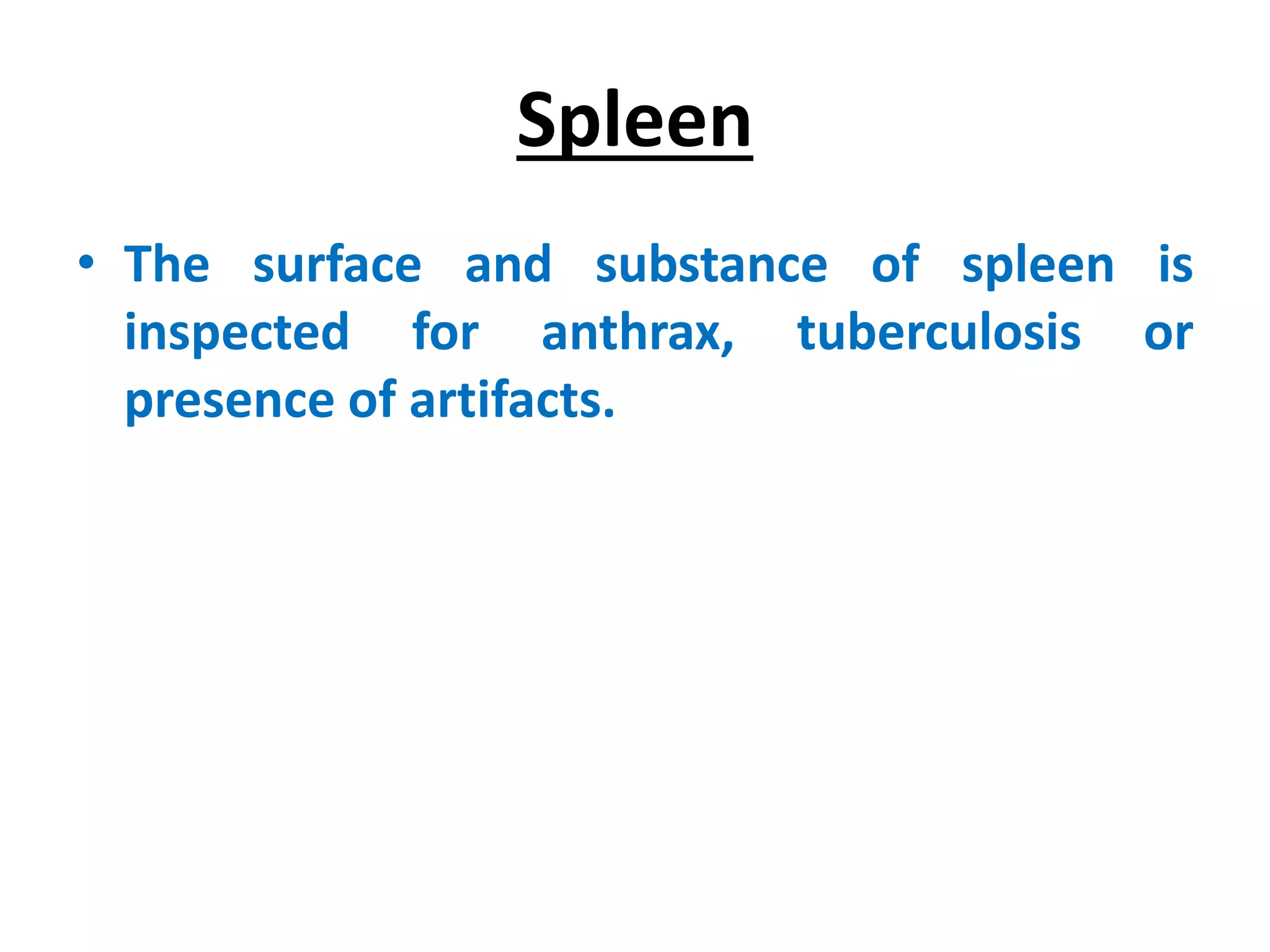 Spleen
• The surface and substance of spleen is
inspected for anthrax, tuberculosis or
presence of artifacts.
 