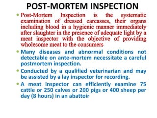 POST-MORTEM INSPECTION
 Post-Mortem Inspection is the systematic
examination of dressed carcasses, their organs
including blood in a hygienic manner immediately
after slaughter in the presence of adequate light by a
meat inspector with the objective of providing
wholesome meat to the consumers
 Many diseases and abnormal conditions not
detectable on ante-mortem necessitate a careful
postmortem inspection.
 Conducted by a qualified veterinarian and may
be assisted by a lay inspector for recording.
 A meat inspector can efficiently examine 75
cattle or 250 calves or 200 pigs or 400 sheep per
day (8 hours) in an abattoir
 