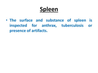 Spleen
• The surface and substance of spleen is
inspected for anthrax, tuberculosis or
presence of artifacts.
 