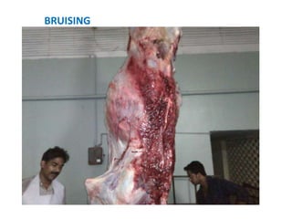 BRUISING
 