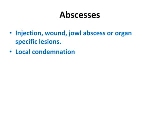 Abscesses
• Injection, wound, jowl abscess or organ
specific lesions.
• Local condemnation
 