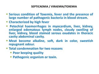 SEPTICAEMIA / VIRAEMIA/TOXEMIA
 Serious condition of Toxemia, fever and the presence of
large number of pathogenic bacteria in blood stream.
 Characterized by high fever
 Petechial haemorrhages in myocardium, liver, kidney,
enlarged edematous lymph nodes, cloudy swelling of
liver, kidney, blood stained serous exudates in thoracic
cavity abdominal cavity.
 Meat become alkaline, soft, dark in color, sweetish
repugnant odour.
 Total condemnation for two reasons
 Poor keeping quality
 Pathogenic organism or toxin.
 