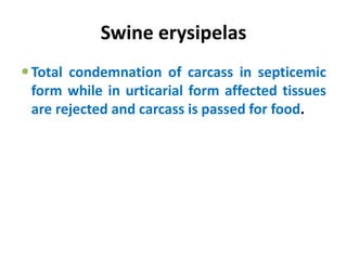 Swine erysipelas
Total condemnation of carcass in septicemic
form while in urticarial form affected tissues
are rejected and carcass is passed for food.
 