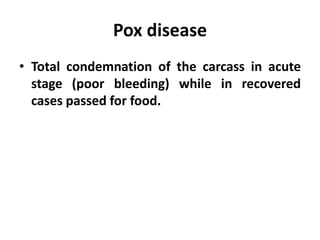 Pox disease
• Total condemnation of the carcass in acute
stage (poor bleeding) while in recovered
cases passed for food.
 