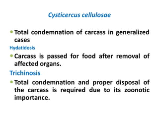 Cysticercus cellulosae
Total condemnation of carcass in generalized
cases
Hydatidosis
Carcass is passed for food after removal of
affected organs.
Trichinosis
Total condemnation and proper disposal of
the carcass is required due to its zoonotic
importance.
 