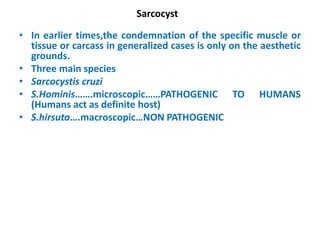Sarcocyst
• In earlier times,the condemnation of the specific muscle or
tissue or carcass in generalized cases is only on the aesthetic
grounds.
• Three main species
• Sarcocystis cruzi
• S.Hominis…….microscopic……PATHOGENIC TO HUMANS
(Humans act as definite host)
• S.hirsuta….macroscopic…NON PATHOGENIC
 