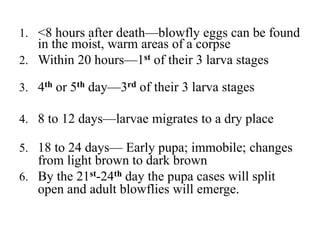 Post mortem interval | PPTX
