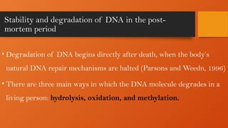 Post mortem modifications in DNA and estimation of PMI.pptx