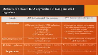 Post mortem modifications in DNA and estimation of PMI.pptx