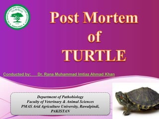 Department of Pathobiology
Faculty of Veterinary & Animal Sciences
PMAS Arid Agriculture University, Rawalpindi,
PAKISTAN
Conducted by: Dr. Rana Muhammad Imtiaz Ahmad Khan
 