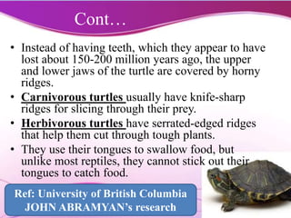 Cont…
• Instead of having teeth, which they appear to have
lost about 150-200 million years ago, the upper
and lower jaws of the turtle are covered by horny
ridges.
• Carnivorous turtles usually have knife-sharp
ridges for slicing through their prey.
• Herbivorous turtles have serrated-edged ridges
that help them cut through tough plants.
• They use their tongues to swallow food, but
unlike most reptiles, they cannot stick out their
tongues to catch food.
Ref: University of British Columbia
JOHN ABRAMYAN’s research
 