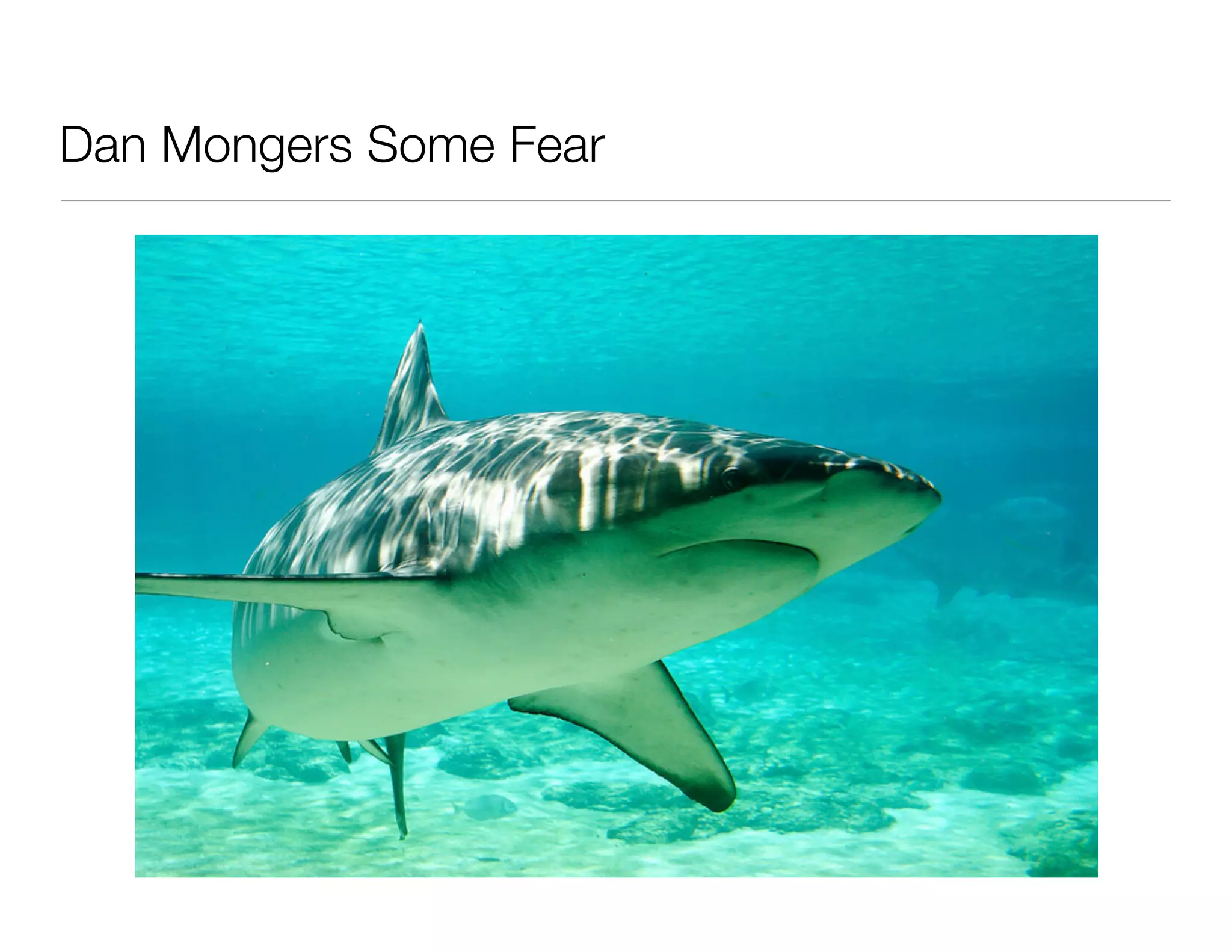 Dan Mongers Some Fear
 