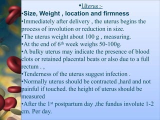 •Uterus:-
•Size, Weight , location and firmness
•Immediately after delivery , the uterus begins the
process of involution or reduction in size.
•The uterus weight about 100 g , measuring.
•At the end of 6th week weighs 50-100g.
•A bulky uterus may indicate the presence of blood
clots or retained placental beats or also due to a full
rectum . ,
•Tenderness of the uterus suggest infection .
•Normally uterus should be contracted ,hard and not
painful if touched. the height of uterus should be
measured
•After the 1st postpartum day ,the fundus involute 1-2
cm. Per day.
 