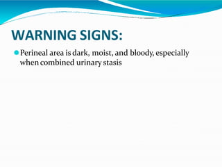 WARNING SIGNS:
⚫Perineal area is dark, moist, and bloody, especially
when combined urinary stasis
 