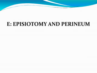 E: EPISIOTOMY AND PERINEUM
 