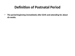 Postnatal Border Postnatal_Assessment_Presentation_Enhanced-1.pptx
