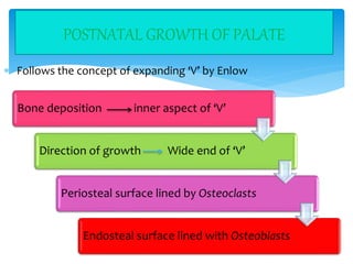 Post natal development of cranial base, maxilla and mandible | PPTX